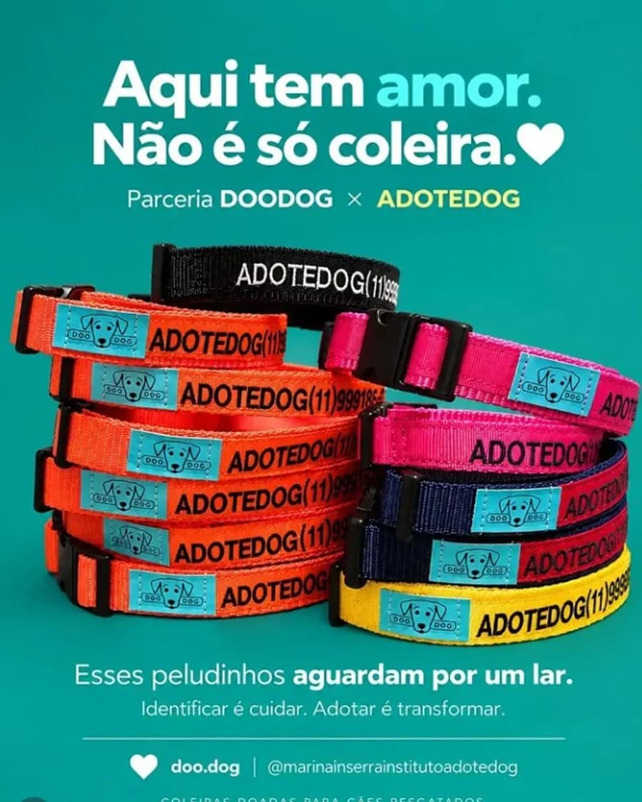 Coleiras de identificação coloridas com a marca AdoteDog, doadas pela DooDog